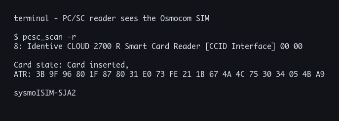 PC/SC reader output showing the SIM ATR